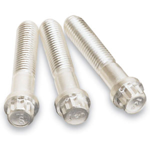12-Point Silver Plated Bolts